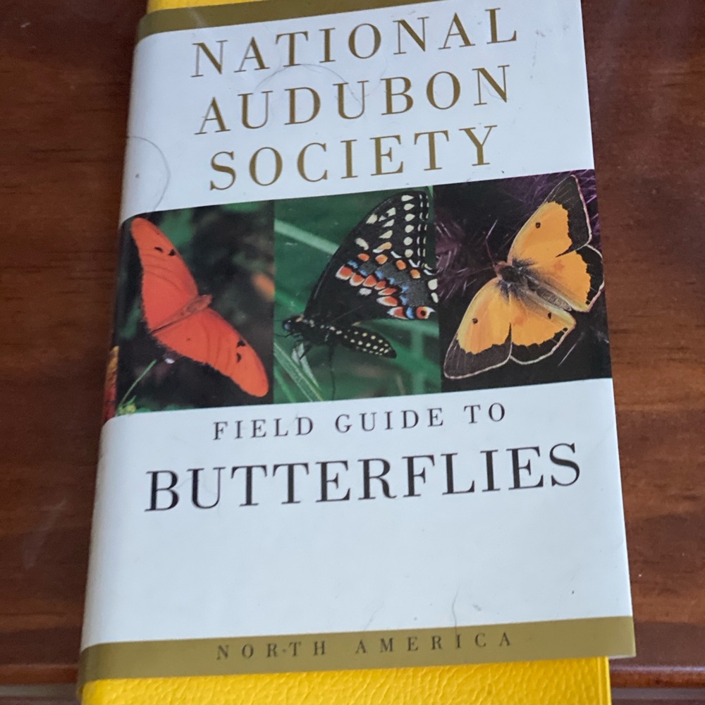 Field Guide to Butterflies - Yellow Cover